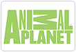 ANIMAL PLANET